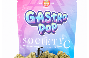 Gastro Pop