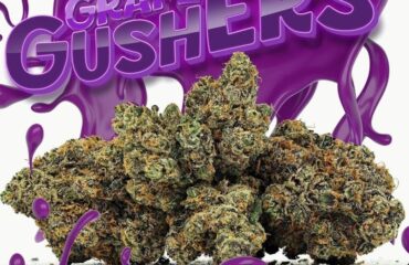 Grape Gushers