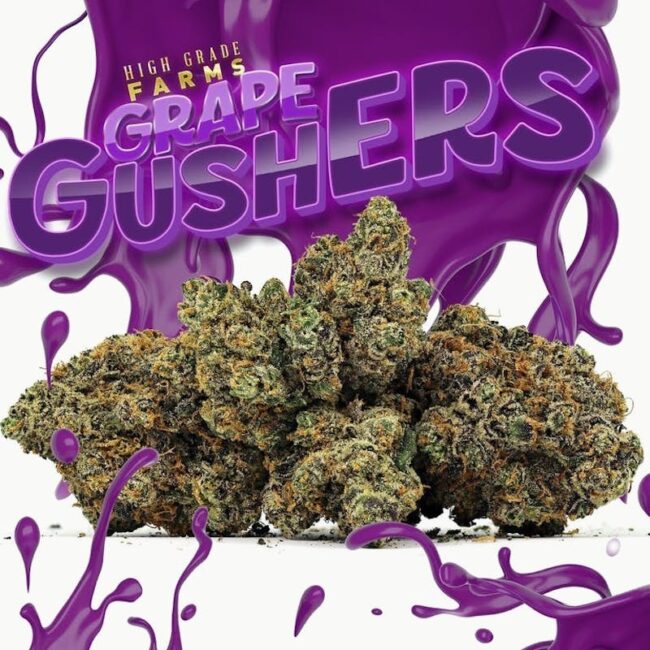 Grape Gushers