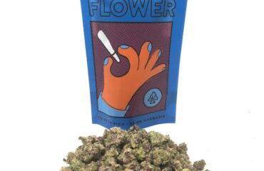 Purple Punch