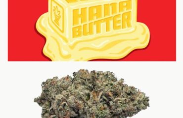Bernie Hana Butter