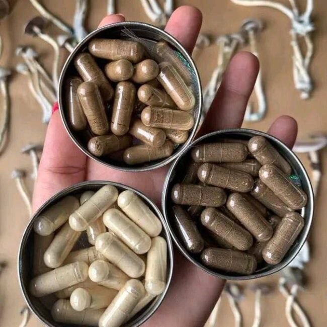 Magic Mushroom Capsules 4000mg