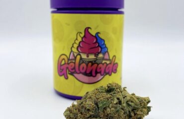 Gelonade