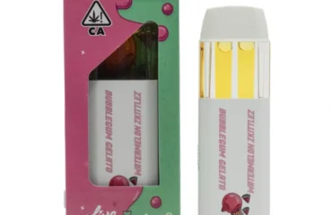 Choices Slab 2 Flavor Disposable